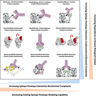 Complexity of Viral Epitope Surfaces as Evasive Targets for Vaccines and Therapeutic Antibodies